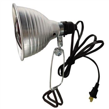 Brooder Clamp Light