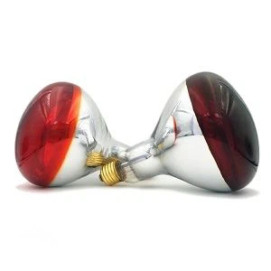 Kā izvēlēties pareizo izolācijas lampu